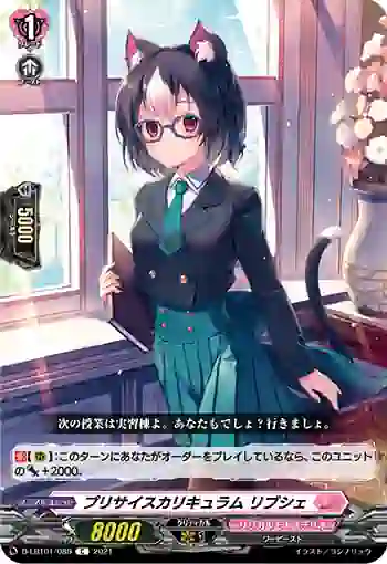 D-LBT01/089 プリサイスカリキュラム リブシェ