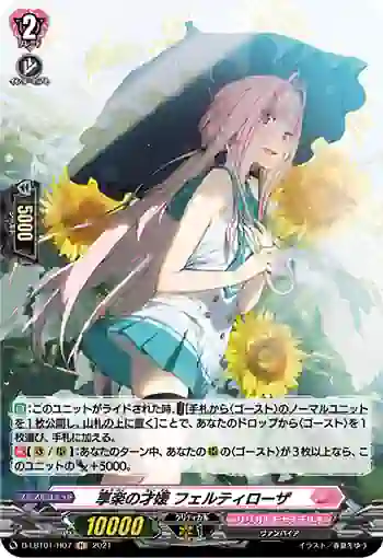D-LBT01/H07 享楽の才媛 フェルティローザ