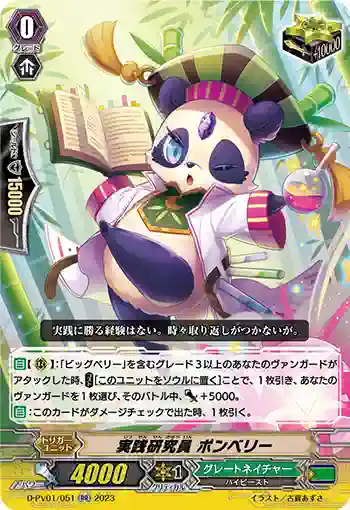 D-PV01/051 実践研究員 ポンベリー