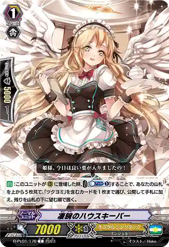 D-PV01/176 凄腕のハウスキーパー