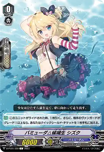 D-PV01/309 バミューダ△候補生 シズク