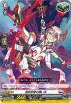 D-SS05/047 真空放電の揮い手