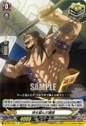D-TB05/038 待ち望んだ邂逅