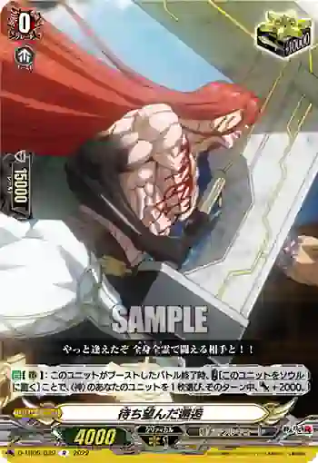 D-TB05/039 待ち望んだ邂逅