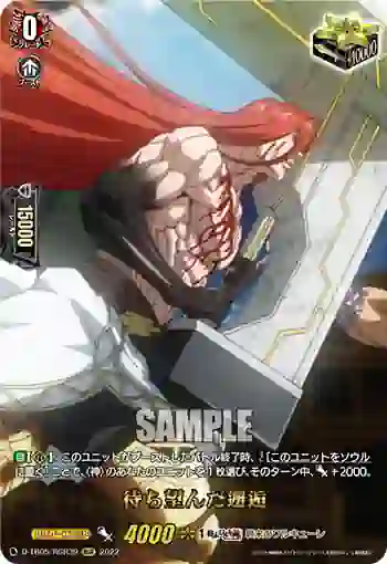 D-TB05/RGR39 待ち望んだ邂逅