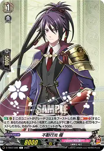 D-TB07/080 不動行光 極