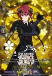 D-TB07/TRR74 信濃藤四郎 極