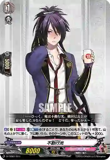 D-TTD01/011 不動行光