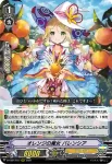 D-VS01/016 烏の魔女 カモミール