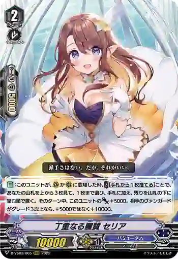 D-VS03/065 丁重なる麗質 セリア