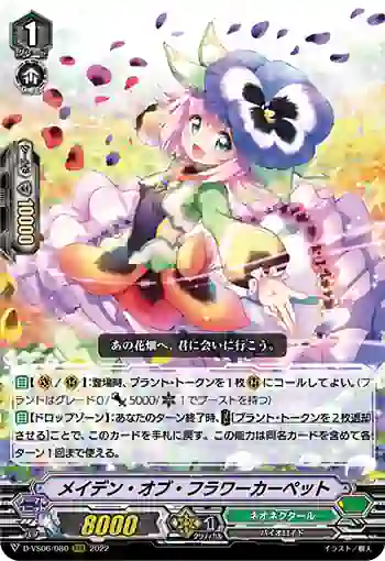 D-VS06/080 メイデン・オブ・フラワーカーペット