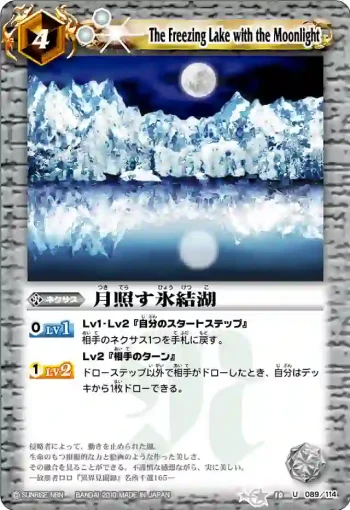 BS10-089 U 月照す氷結湖(ASIA收錄/2011年度版)