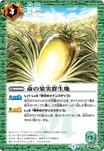 BS24-090 C 命の果実群生地(BS24收錄/2013年度版)
