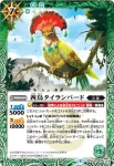 SD38-009 R 酋鳥タイランバード(SD38收錄/2017年度版)