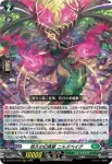 DZ-BT13/017 LettiaMateS マグノリア “幻影”