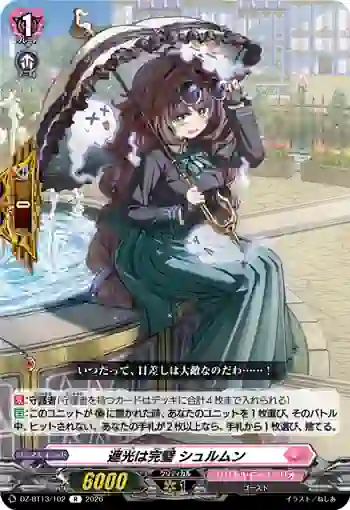 DZ-BT13/102 遮光は完璧 シュルムン
