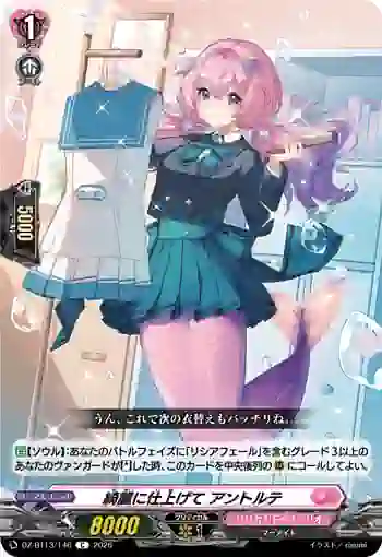 DZ-BT13/146 綺麗に仕上げて アントルテ