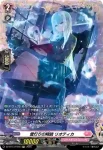 DZ-BT13/FR46 雪灯りの精読 リオティカ