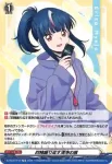 DZ-SS13/019 四精織り成す清浄の盾