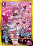 PC02BT/NIK-2-020 PcC 皇冠