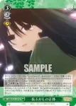 AMG/W121-039S SR 夜ふかしの正体