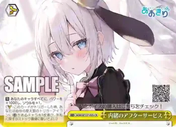 AOH/W127-025 CR 内緒のアフターサービス