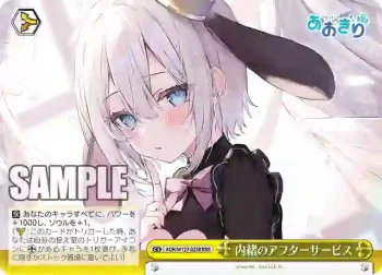 AOH/W127-025R RRR 内緒のアフターサービス