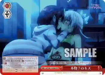 AYT/W110-065 CR 本物？のキス