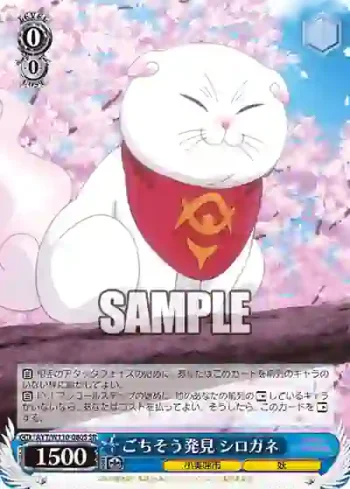 AYT/W110-080S SR ごちそう発見 シロガネ