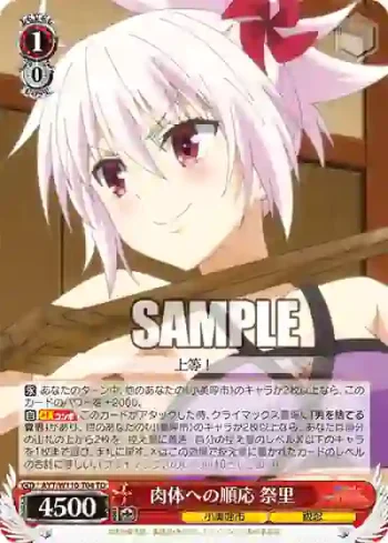 AYT/W110-T04 TD 肉体への順応 祭里