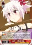 AYT/W110-T04 TD 肉体への順応 祭里
