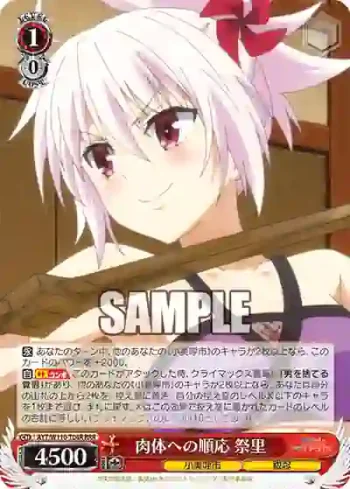 AYT/W110-T04R RRR 肉体への順応 祭里