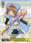 CCS/W113-016S SR “星の杖とともに”木之本桜