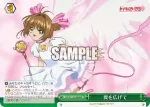 CCS/W113-048 CR 翼を広げて