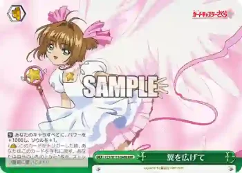 CCS/W113-048R RRR 翼を広げて