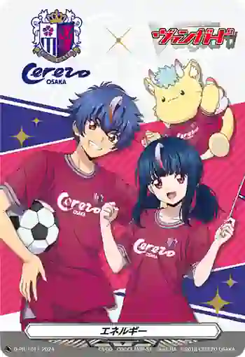 D-PR/1017 エネルギー
