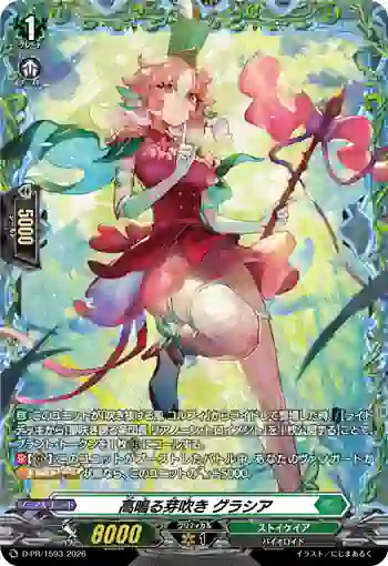 D-PR/1593 タカナルメブキ グラシア