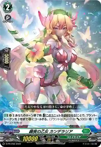 D-PR/250 センビノオトメ カンデラリア
