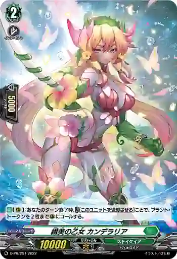 D-PR/251 センビノオトメ カンデラリア