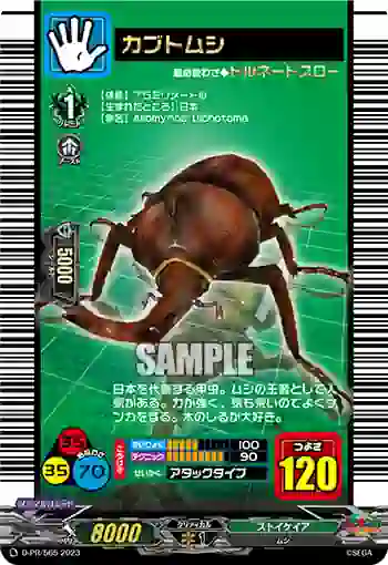 D-PR/565 カブトムシ
