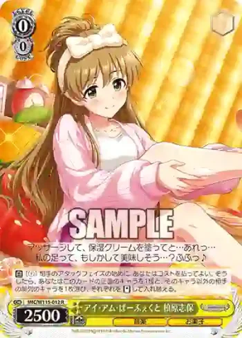 IMC/W115-012 R アイ・アム・ぱーふぇくと 槙原志保