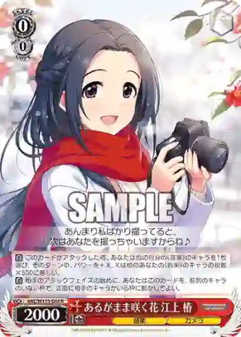 IMC/W115-055 R あるがまま咲く花 江上 椿