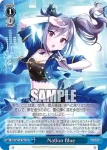 IMC/W115-T44 TD Nation Blue