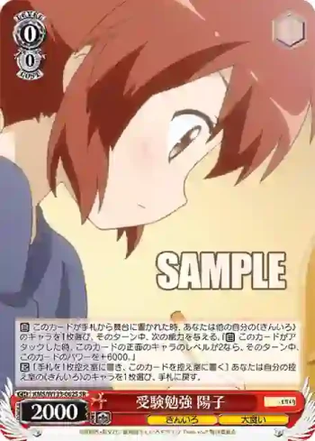 KMS/W133-062S SR 受験勉強 陽子