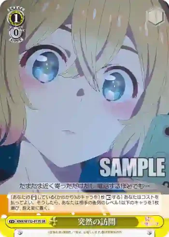 KNK/W132-013S SR 突然の訪問