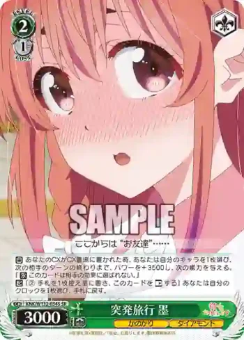 KNK/W132-034S SR 突発旅行 墨