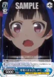 KNK/W132-095 U カレーの材料