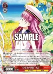 SMP/W130-064S SR “ひまわり畑”うみ