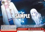 SMP/W130-087 CR 長い夢の終わり