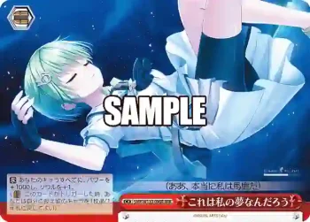 SMP/W130-090R RRR これは私の夢なんだろう
